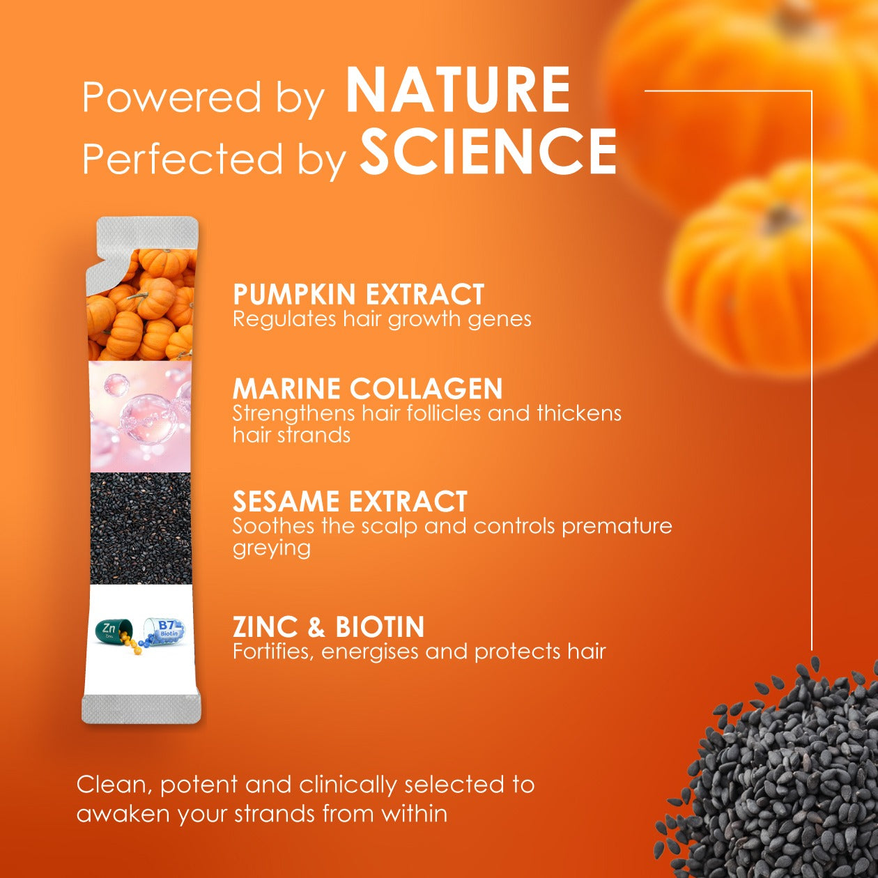 Haeria Pro hair growth supplement ingredients including pumpkin extract to regulate hair growth, marine collagen to strengthen follicles, sesame extract for scalp health, plus zinc and biotin for thicker stronger hair.