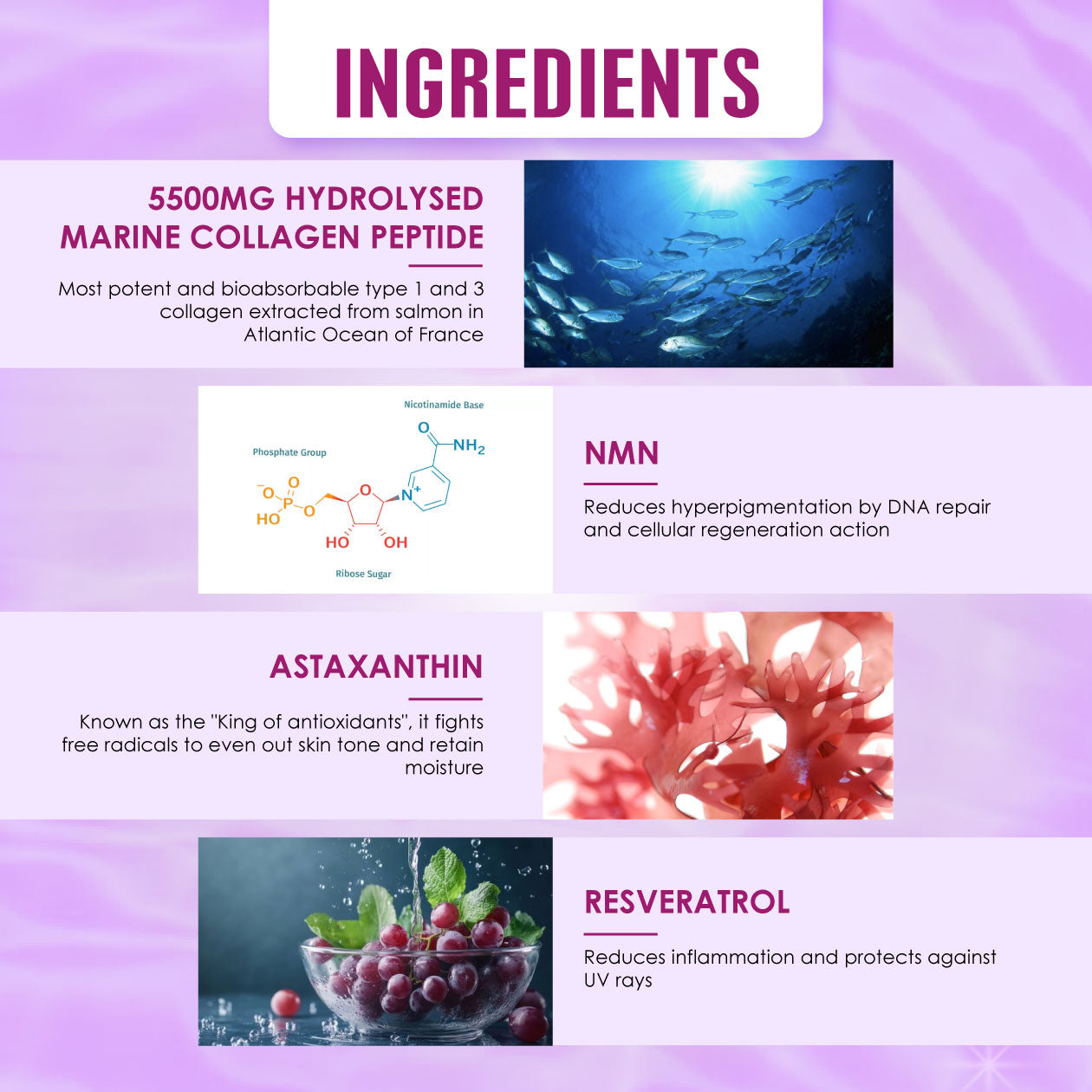 Kinohimitsu Collagen Diamond Pro ingredients — hydrolysed marine collagen, NMN, astaxanthin, resveratrol for youthful skin.