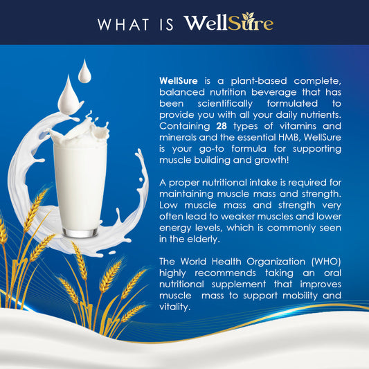 Wellsure – Muscle Strength / Complete Nutrition / Protein Powder