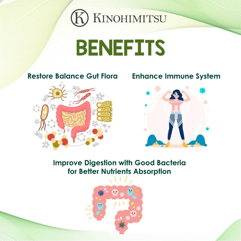 Kinohimitsu Bio-Booster benefits illustration showing improved gut flora balance, enhanced immune system, and better digestion with good bacteria for optimal nutrient absorption.