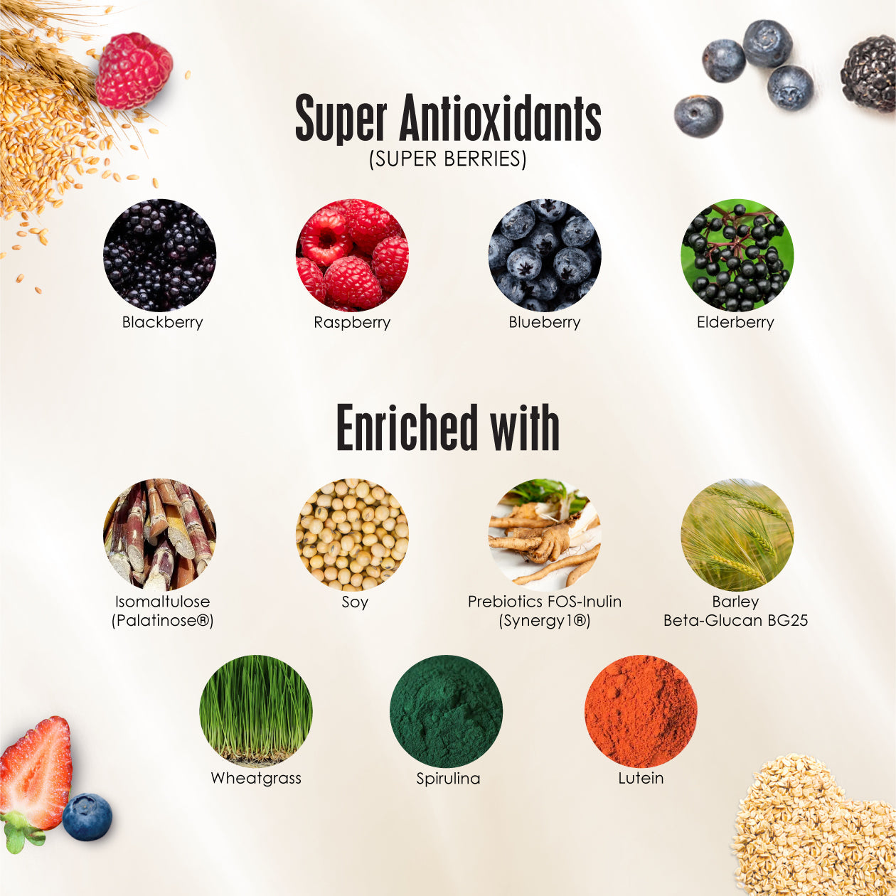 Infographic showcasing Kinohimitsu Malaysia superfood. Features images of super antioxidants (super berries) including blackberry, raspberry, blueberry, and elderberry. Highlights enrichment with isomaltulose, soy, prebiotics FOS-Inulin, barley beta-glucan, wheatgrass, spirulina, and lutein. Emphasizes health benefits and nutritional value.