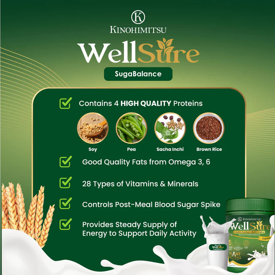 WellSure SugaBalance nutrition highlights – contains 4 high-quality plant proteins, Omega 3 & 6 fats, 28 vitamins and minerals, controls post-meal blood sugar spikes.